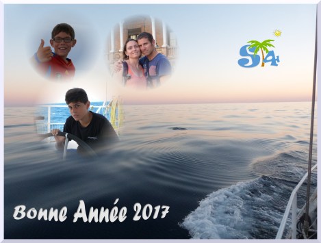 voeux-2017